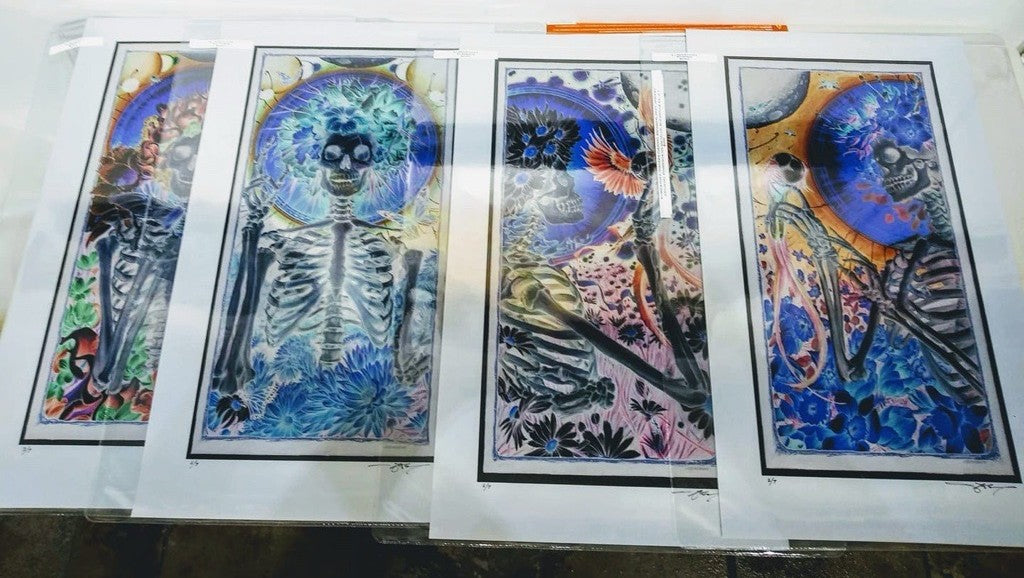 Seasons X-Ray Variant Set