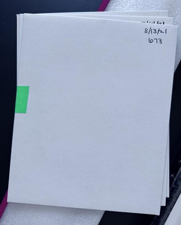 Atlantic City Turtles - Set of 3