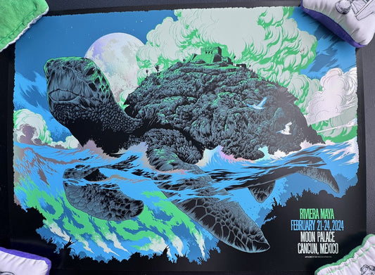 Riviera Maya 2025 - Turtle Foil