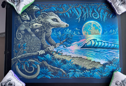 Riviera Maya 2025 - Possum Foil